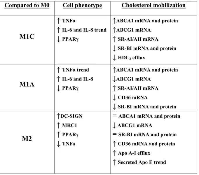 Table  II  :    Table  of  changes  induced  by  polarization  relative  to  macrophage  phenotype expression markers and cholesterol mobilization in THP-1 macrophages