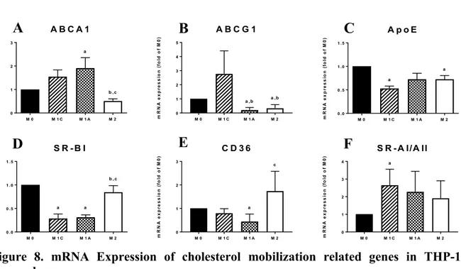 Figure  8.  mRNA  Expression  of  cholesterol  mobilization  related  genes  in  THP-1  macrophage
