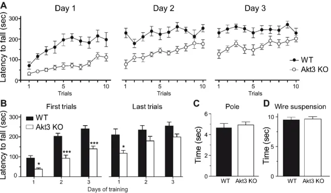 Figure 1. Impaired motor skill learning in Akt3 KO mice. (A) Time spent on the rod of the  accelerating rotarod for each trial at days 1, 2 and 3 were shown for Akt3 KO and WT mice
