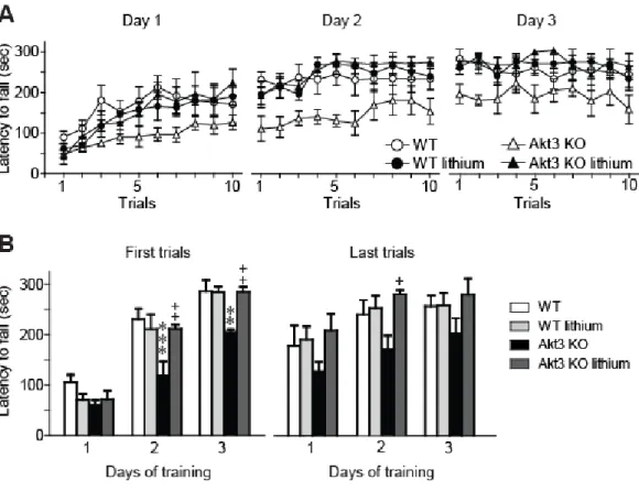 Figure 4. LiCl treatment restored rotarod impairment of Akt3 KO mice. (A) Time spent  on the rod of the accelerating rotarod for each trial at days 1, 2 and 3