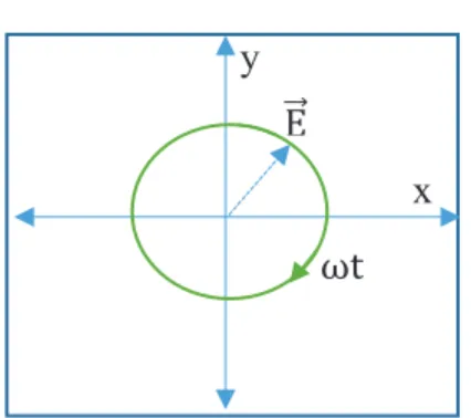 Figure 2.4. Rotation du champ électrique dans le sens horaire, adaptée de [95].  2.3.3 Représentation de la lumière polarisée 