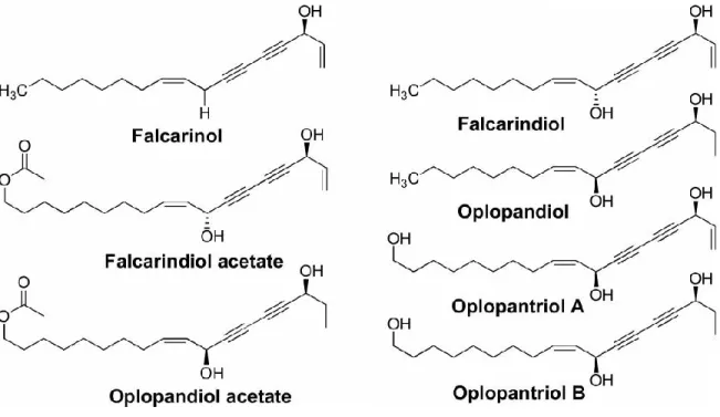 Figure 4: Seven polyynes isolated from Oplopanax horridus “Figure reused with permission of  the rights holder, Springer Nature, see appendix 1” (Huang et al., 2010b)