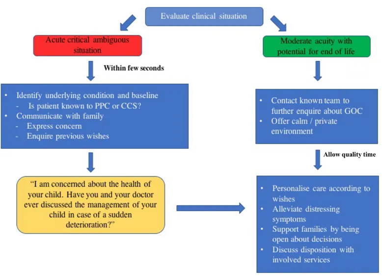 Figure 1.  Comprehensive approach to PPC in the ED