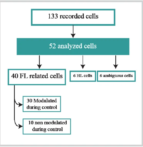 Figure 8.  Summary of the database. We recorded 133 cells, out of which 52 neurons 