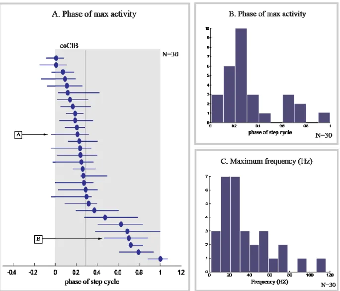 Figure 10.  Summary  of  neural  activity  during  unobstructed  locomotion.  A:  The 