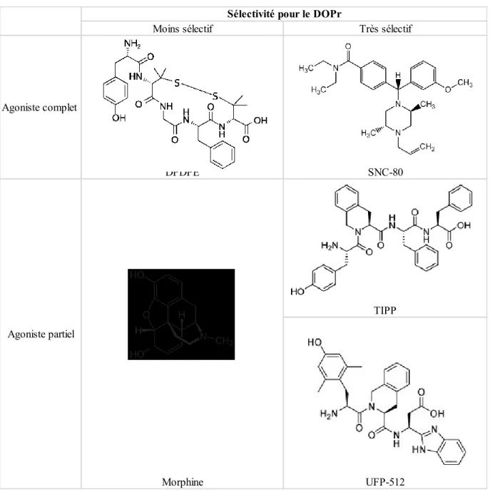 Tableau 1. Structure des ligands opioïdes utilisés dans notre étude. 