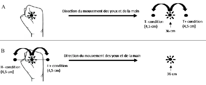 Illustration des conditions expérimentales avec un changement dans la position de la cible (A) et dans la  position du curseur (B)