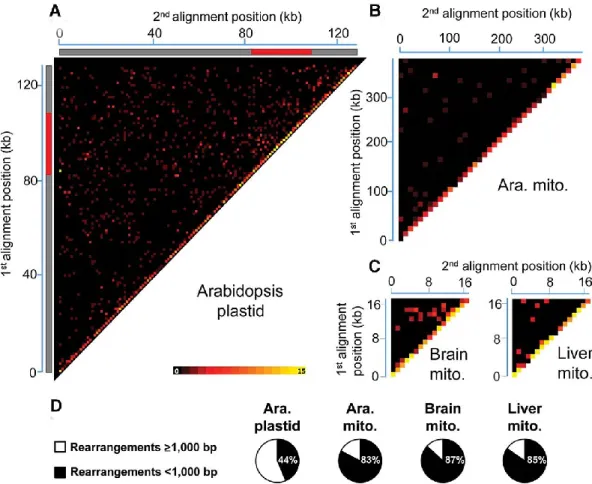 Figure 8. Global portrait of organelle genome rearrangements in Arabidopsis and humans