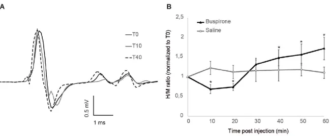 Figure 2. Effect of buspirone on the H-reflex 