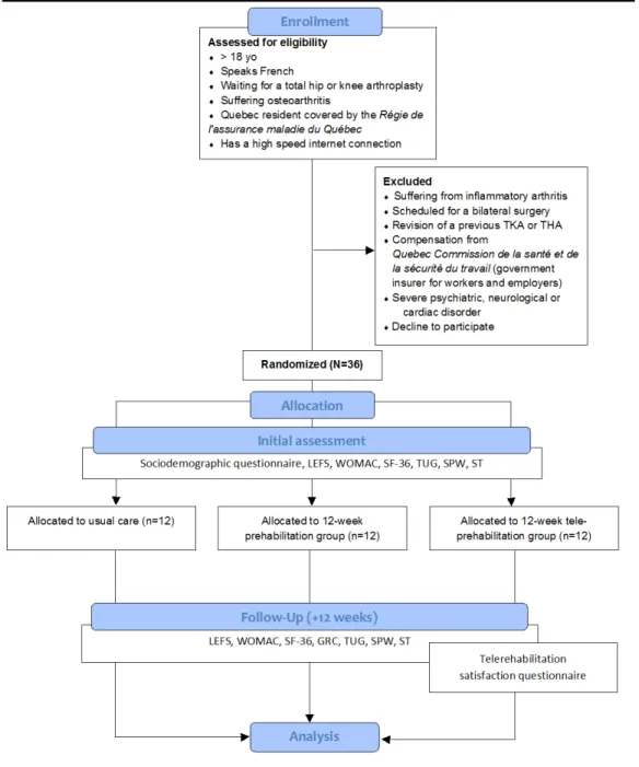 Figure 2.  Flow Diagram of the randomized controlled trial. 