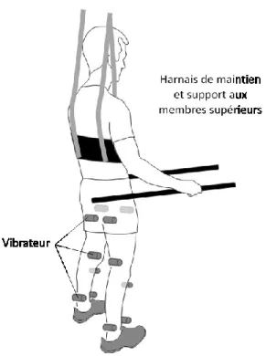 Figure 2. Dispositif de vibrations 