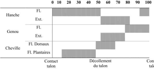 Figure 3. Patron modèle d’activation des vibrateurs pour chaque groupe musculaire  vibré (Un cycle pour un membre inférieur) 