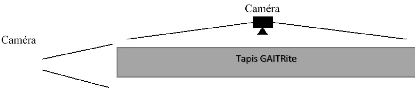Figure 6. Plan de l’installation du dispositif GAITRite ® 