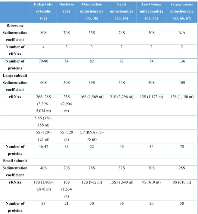 Table 1 . Summary of the composition in several characterized ribosomes . 