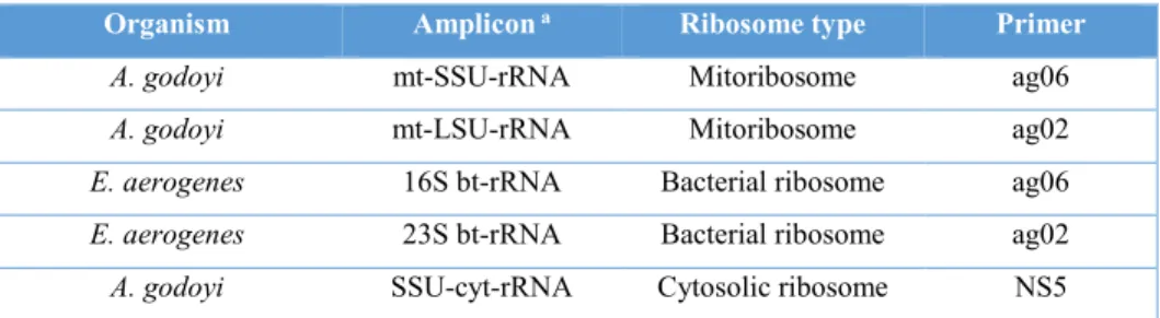 Table 2 . Primers used for RT of rRNAs (see the appendix 8.3).