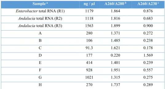 Table 4 . RNA quantification of samples used in Northern blot.