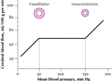 Figure 4. Autoregulation of blood flow with changing blood pressure. 