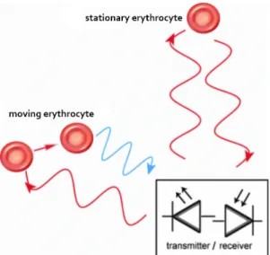 Figure 6. Principle of Laser Doppler Flowmetry. 