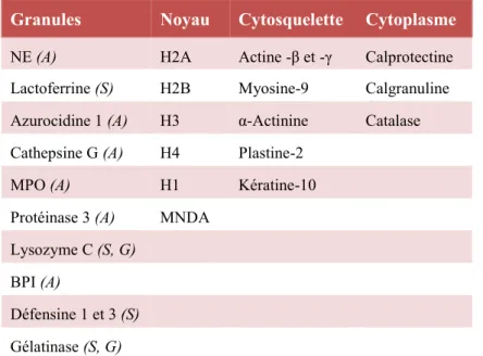 Tableau  II.  Protéines  colocalisées    avec  les 