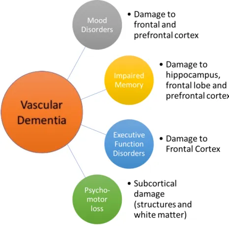 Figure 1 Vascular Dementia brain targets and effects (Modified from(13)) 