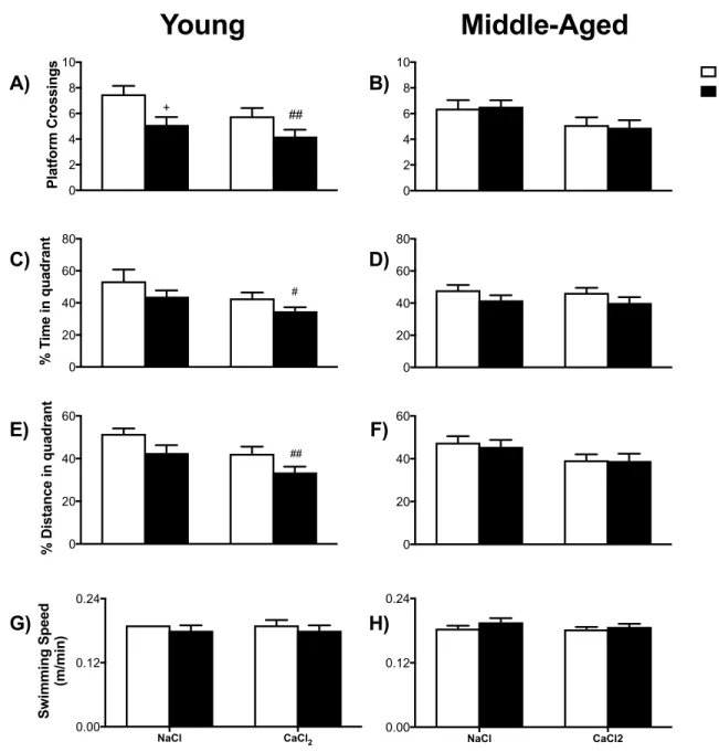 Figure 8 MWM Probes of young and middle age mice conducted 4 months post-surgery.  Follow-up testing of young mice now aged 7 months (A, C, E, G) and older mice now aged 10  months  (B,  D,  F,  H)  the  number  of  platform  crossings,  percent  of  time 