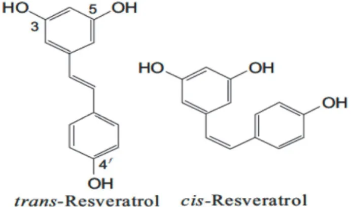 Figure 8: Chemical structures of trans-resveratrol and cis-resveratrol.                              Source: (Rege et al., 2014) 