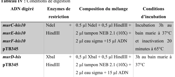 Tableau IV : Conditions de digestion  ADN digéré  Enzymes de  restriction 