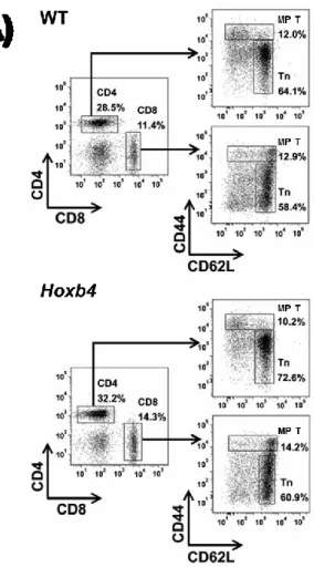 Figure 3.- Similar T cell compartment in WT and Hoxb4 young adult transgenic mice. 