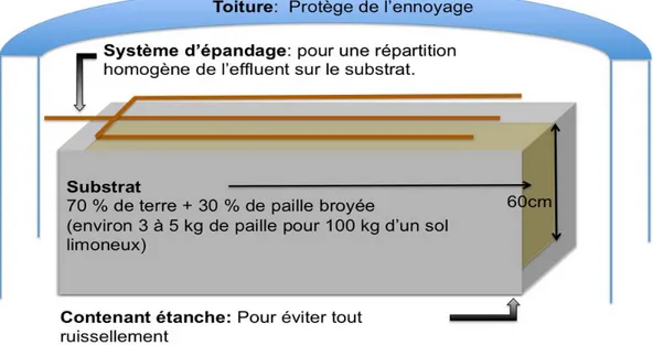 Figure 7.  Schéma simplifié d’un Phytobac (inspiré de (Chambres  d’Agriculture, 2006)) 