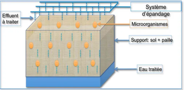 Figure 8.  Schéma simplifié du biofiltre utilisé à (Phytodata) 