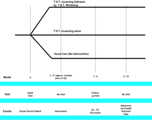 Figure 3.  Randomization and procedures of the THT trial 