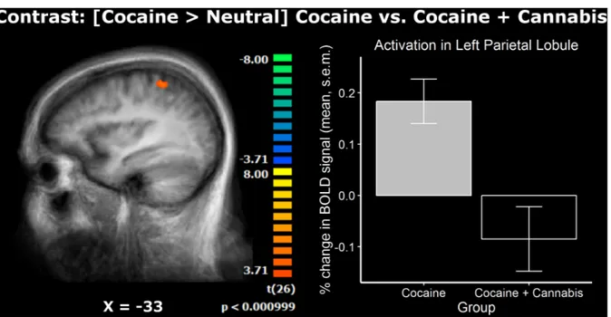 Figure 7.  Différences  dans  les  activations  cérébrales  entre  les  groupes,  contraste  [Cocaïne &gt; Neutre]