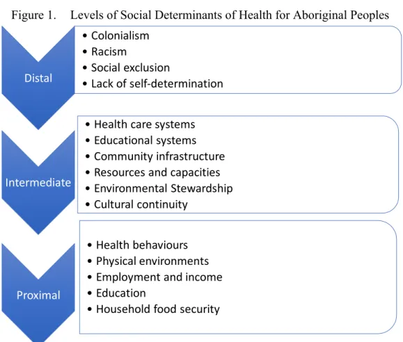 Figure 1.  Levels of Social Determinants of Health for Aboriginal Peoples  
