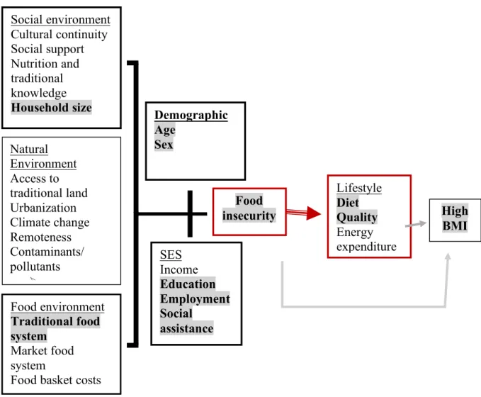 Figure 3.  Conceptual framework of the relationship between socio-demographic  variables, food insecurity, diet quality, and high BMI in First Nations communities