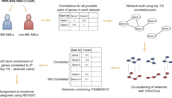 Figure 3.6 : IP expression correlates with distinct functional networks in M5 vs. non- non-M5 AMLs