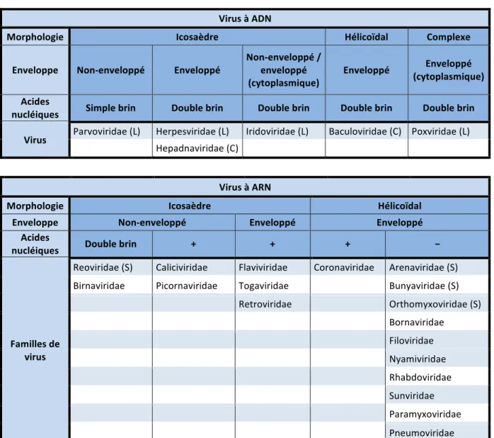 Tableau I.  Classification des virus à animaux 