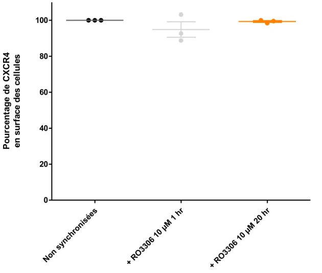 Figure  9.  L’expression  de  CXCR4  en  surface  des  cellules  n’est  pas  affectée  par  la  synchronisation en G2