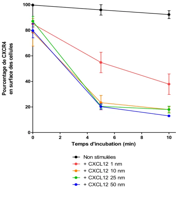 Figure  10.  Les  cellules  Reh  non  synchronisées  endocytent  le  récepteur  CXCR4  exprimé  en  surface lorsque stimulées avec du CXCL12