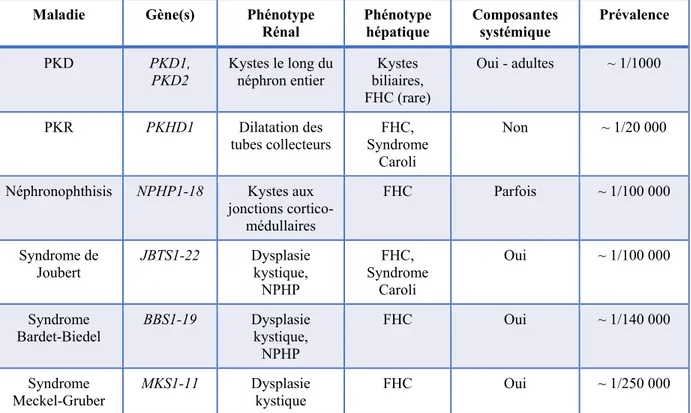 Tableau 1.1. Caractéristiques principales des maladies polykystiques rénales et des maladies  fibrokystiques hépatorénales les plus communes