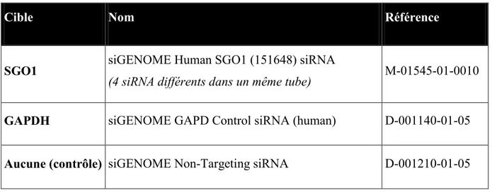 Tableau IV: Liste des siRNA SGO1 et contrôles. 