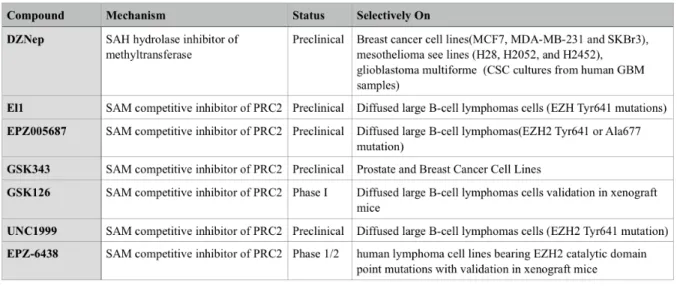 Table 2.  EZH2 inhibitors and their status in clinical development. Modified from [23]
