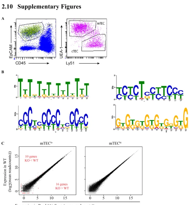 Figure 9.  Analysis  of  TEC  populations  in  WT  and  Psmb11 -/-   mice.  (A)  Flow  cytometry analysis of cTECs and mTECs, representative from WT