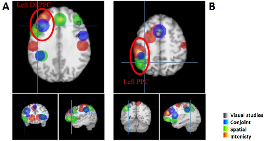 Figure 1. Fronto-parietal activation in the retention epoch. 