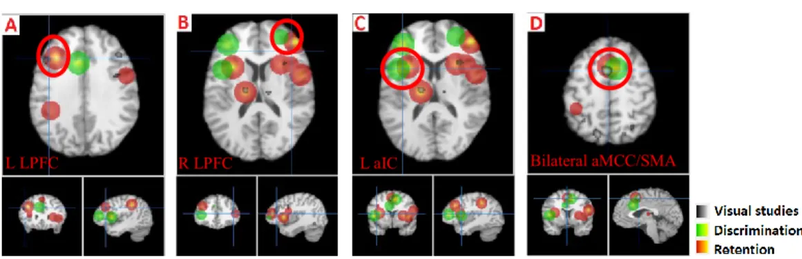 Figure 5. Activation in the retention (red) and discrimination (green) phase of the  conjoint intensity/spatial dimension