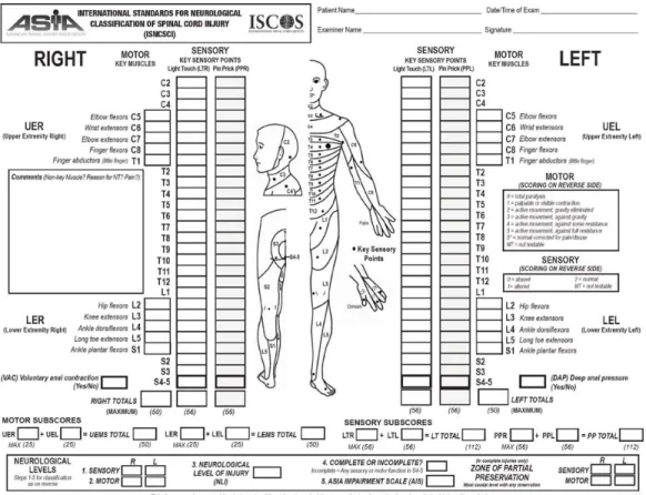 Figure 2.2: Standards internationaux de classification neurologique des lésions médullaires