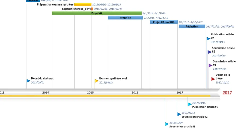 Figure 4.1 Schéma de la progression du doctorat. 