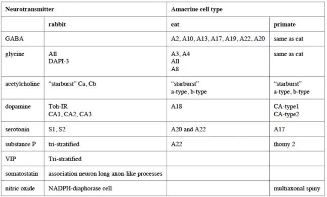 Table 1-1: The various neurotransmitters found in mammalian retina (Kolb, 1995b). 