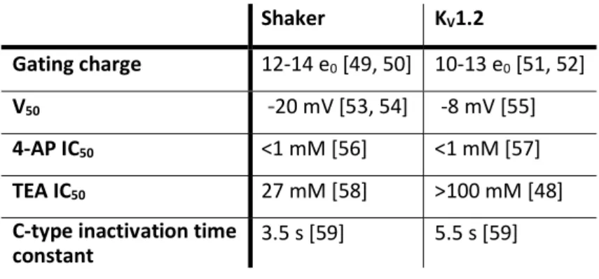 Table 1 Comparison of selected functional parameters for Shaker and K V 1.2 Shaker KV1.2 