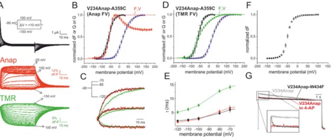 Figure 3.2 Two-colour VCF results of V234Anap-A359C