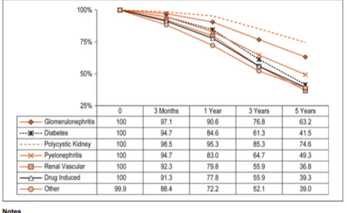 Figure 2 : Taux de survie non ajusté de patients en hémodialyse par étiologie de l'insuffisance  rénale, Canada, 2004 à 2013 (pourcentage) 4